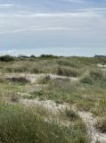 Hiddensee