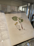 Ältestes Buch der Ausstellung