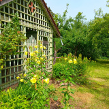 20240629_Klostergarten-d