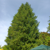 20240629_Klostergarten-f