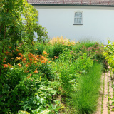 20240629_Kraeutergarten-c