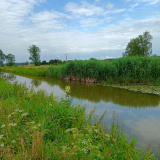 20240630_Glonn-bei-Weichs-a