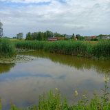 20240630_Glonn-bei-Weichs-b