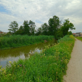 20240630_Glonn-bei-Weichs-c