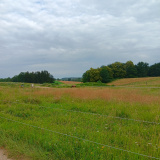 20240630_Thalhof-a