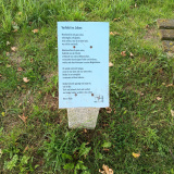 Altom-Streuobstwiese-20250907_124757