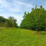 Altom-Streuobstwiese-20250907_130046