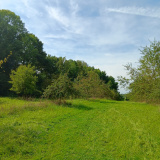 Altom-Streuobstwiese-20250907_130127