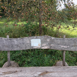 Altom-Streuobstwiese-20250907_130317