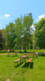 Blumenthal-20230611-5