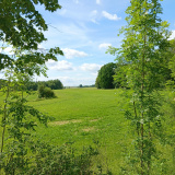 Blumenthal-20260607_102546