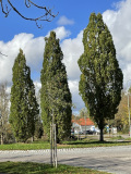 Willkommen aus Richtung Stumpfenbach