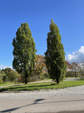 Willkommen in Richtung Stumpfenbach
