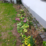 Klosterladen-Altomuenster-20250322-c