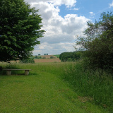 Pipinsried-20250524-b