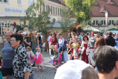 IMG_6728