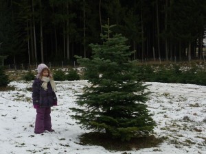 X-Baum