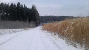 IMAG0232