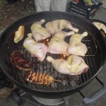 Sommerfest (4)
