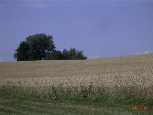 Spaziergang Feldkapelle 2015_08_02_c