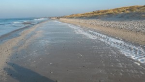 ostsee (3)