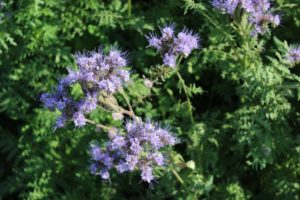 Sielenbach_Herbstanfang 2016_c