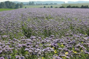 Sielenbach_Herbstanfang 2016_d